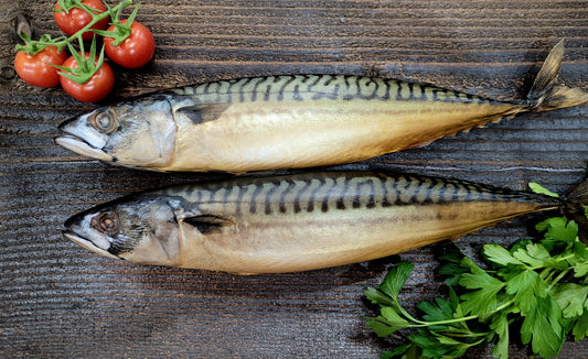 Cold-Smoked Mackerel